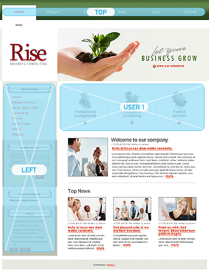 Website Template #20791