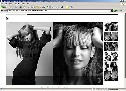 Website Template #20908