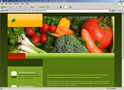 Website Template #21008