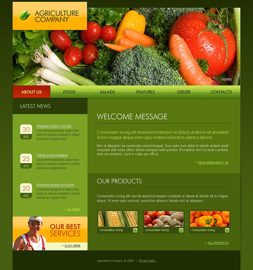 Vegetable Website Template 21008
