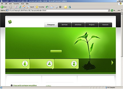 Website Template #21089