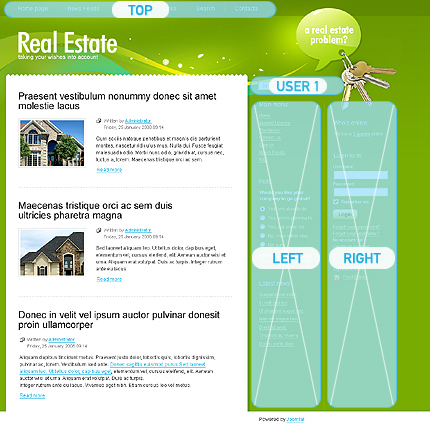 Website Template #21117