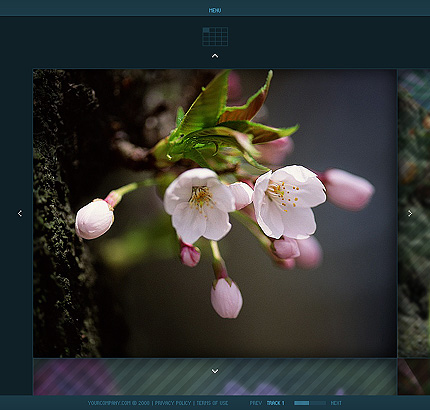 Website Template #21168