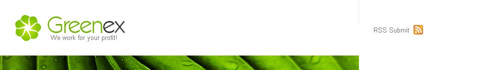 Website Template #21232