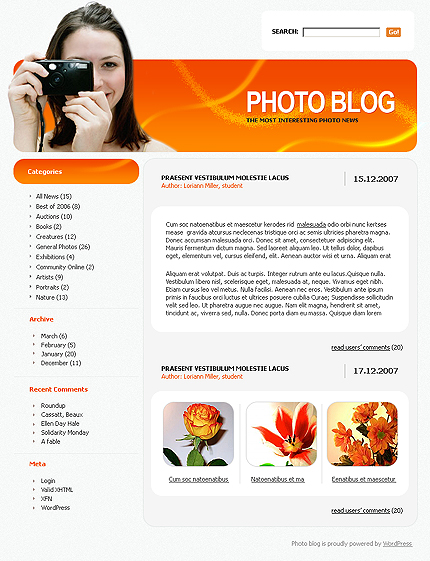 Website Template #21241