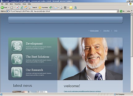 Website Template #21307
