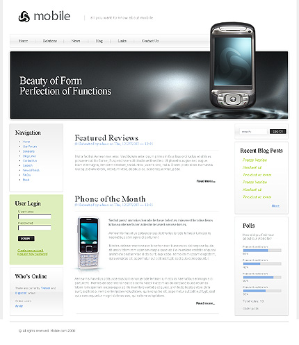 Website Template #21339