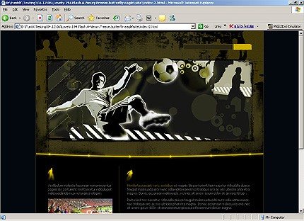 Website Template #21354
