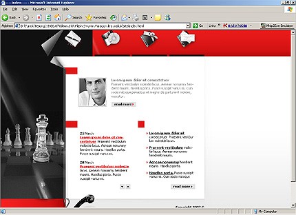 Website Template #21368