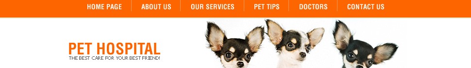Website Template #21373
