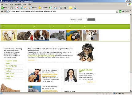 Website Template #21374