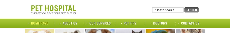 Website Template #21374
