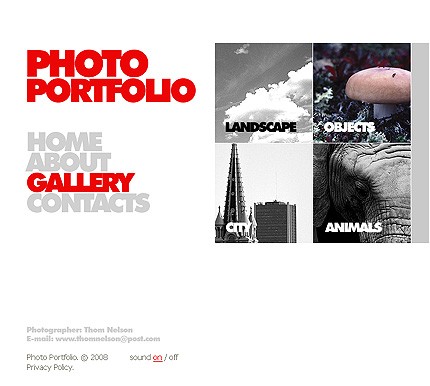 Website Template #21428