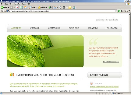 Website Template #21488