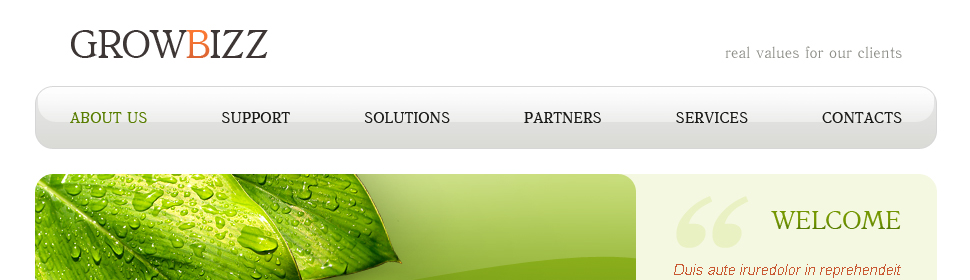 Website Template #21488