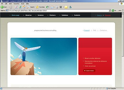 Website Template #21505
