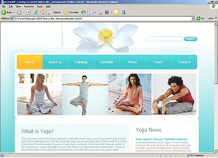 Website Template #21506
