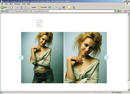 Website Template #21527