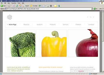 Website Template #21530