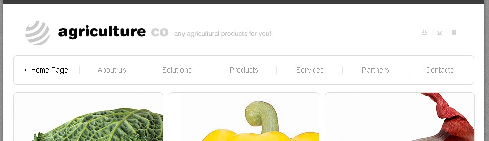 Website Template #21530