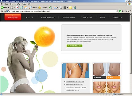 Website Template #21618