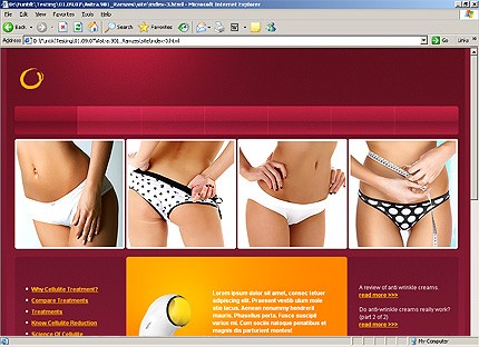 Website Template #21644
