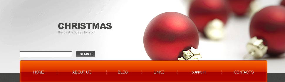 Website Template #21847