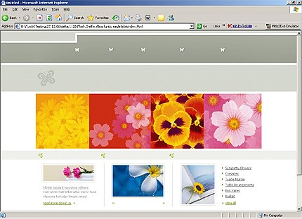 Website Template #21922
