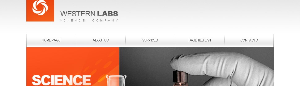 Website Template #21947