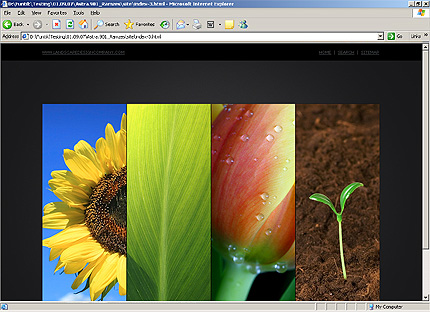 Website Template #21972