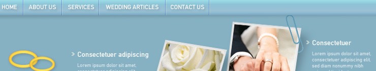 Website Template #2234