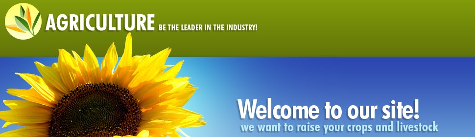Website Template #22064