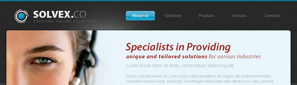 Website Template #22116