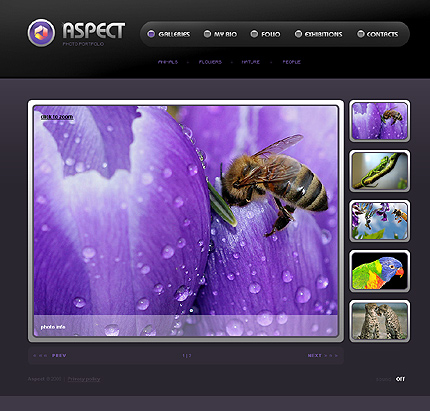 Website Template #22404