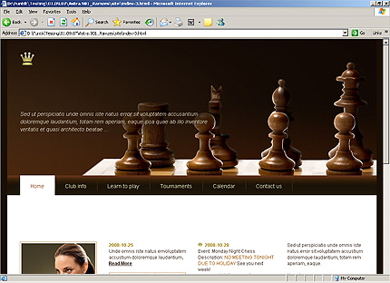 Website Template #22413