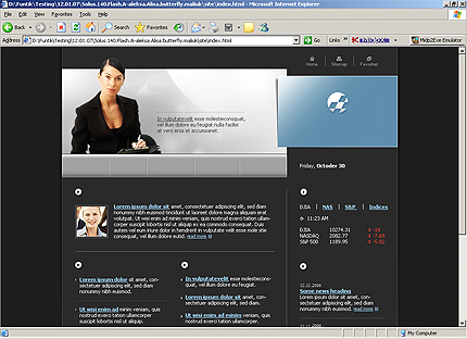 Website Template #22516