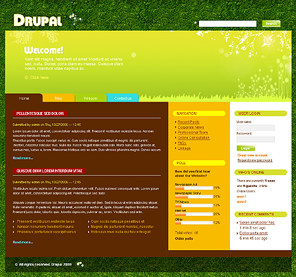 Website Template #22761