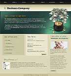 Turnkey Website #22881