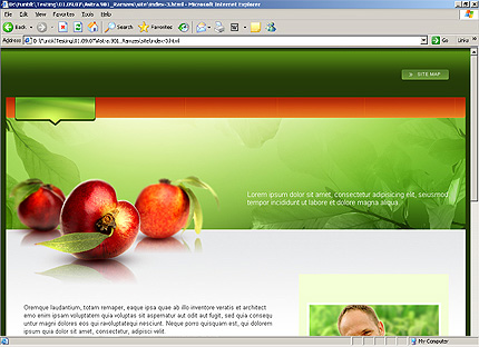 Website Template #22976
