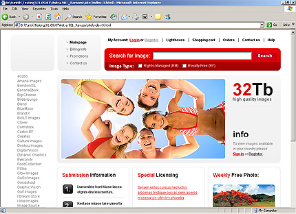 Website Template #23001