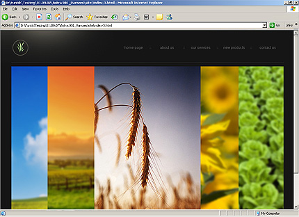 Website Template #23012