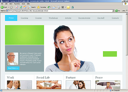 Website Template #23047