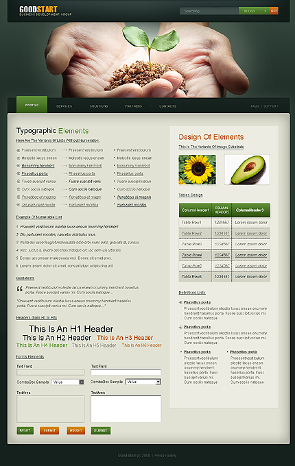 Website Template #23079
