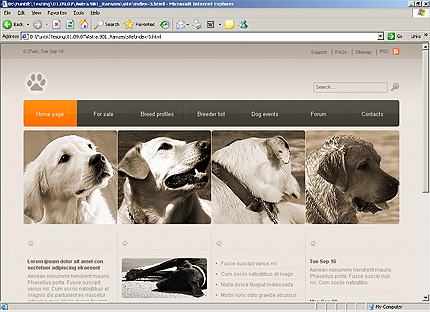 Website Template #23084