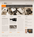 Website #23084