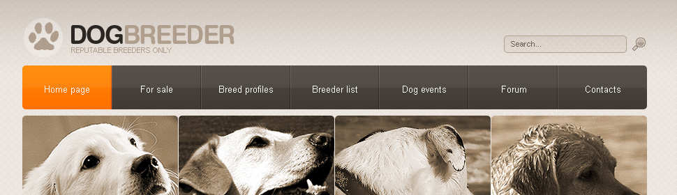 Website Template #23084