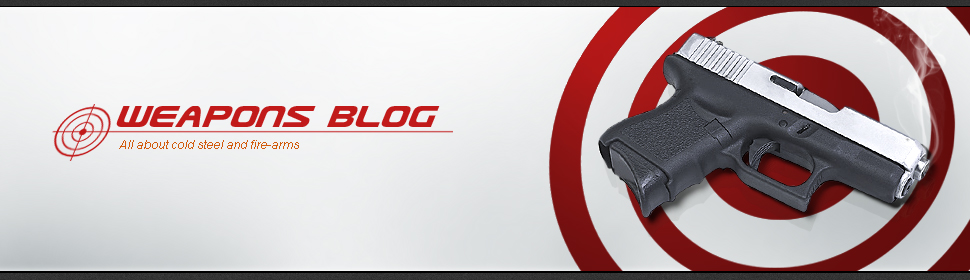 Website Template #23100