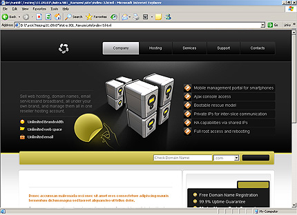Website Template #23101