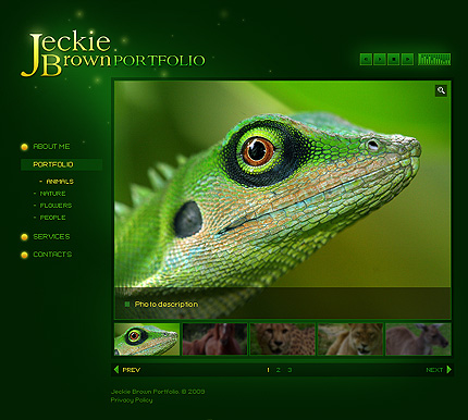 Website Template #23173