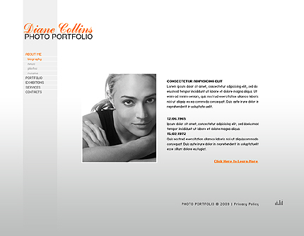 Website Template #23226